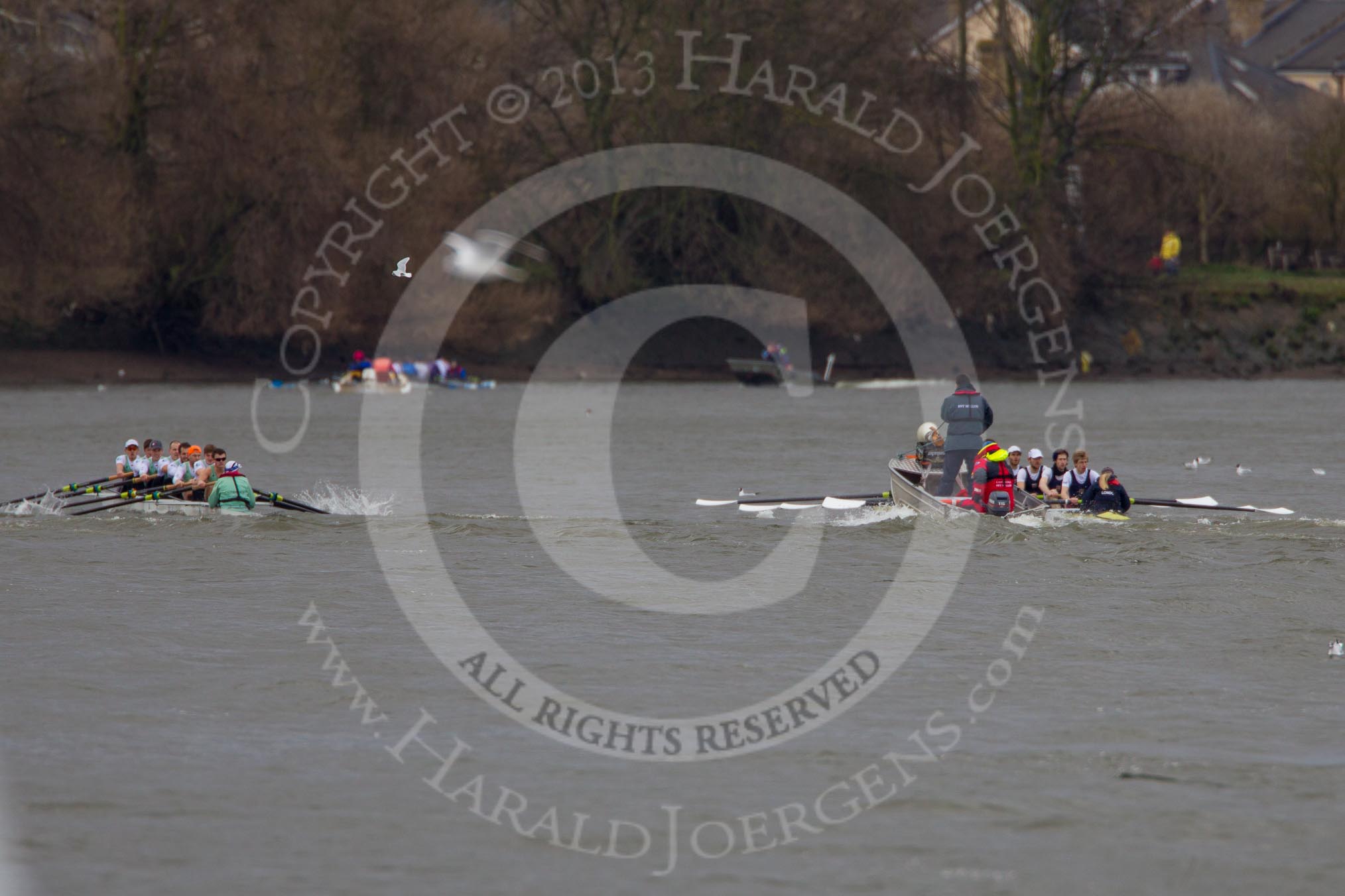 The Boat Race season 2013 - fixture CUBC vs Molesey BC, Goldie vs London RC.
Tideway,
London SW15,

United Kingdom,
on 16 March 2013 at 15:12, image #63