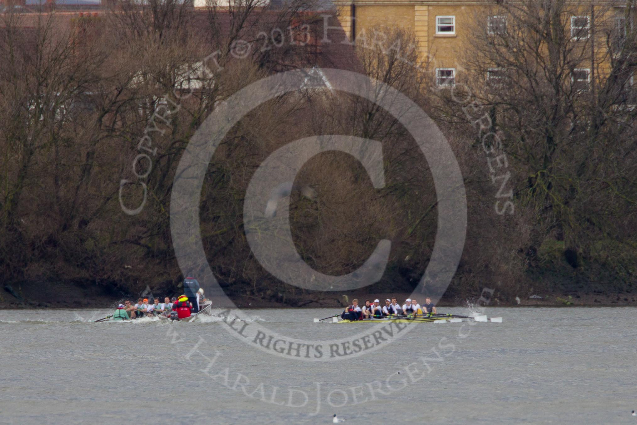 The Boat Race season 2013 - fixture CUBC vs Molesey BC, Goldie vs London RC.
Tideway,
London SW15,

United Kingdom,
on 16 March 2013 at 15:13, image #71