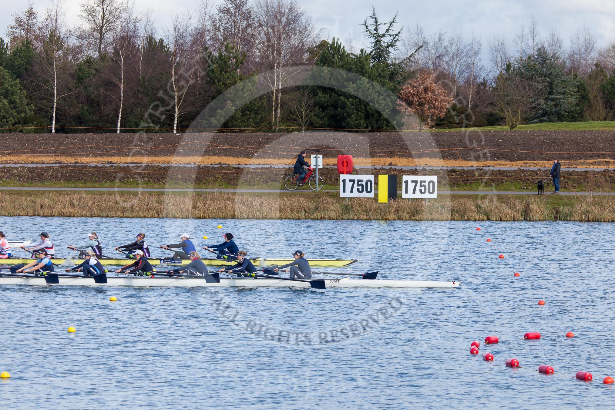 The Boat Race season 2013 - fixture OUWBC vs Olympians: The Olympians, in the yellow boat, racing the two OUWBC boats in a fixture at Dorney Lake. In front the Blue Boat, behind and half a length back the reserve boat Osiris..
Dorney Lake,
Dorney, Windsor,
Buckinghamshire,
United Kingdom,
on 16 March 2013 at 12:17, image #213