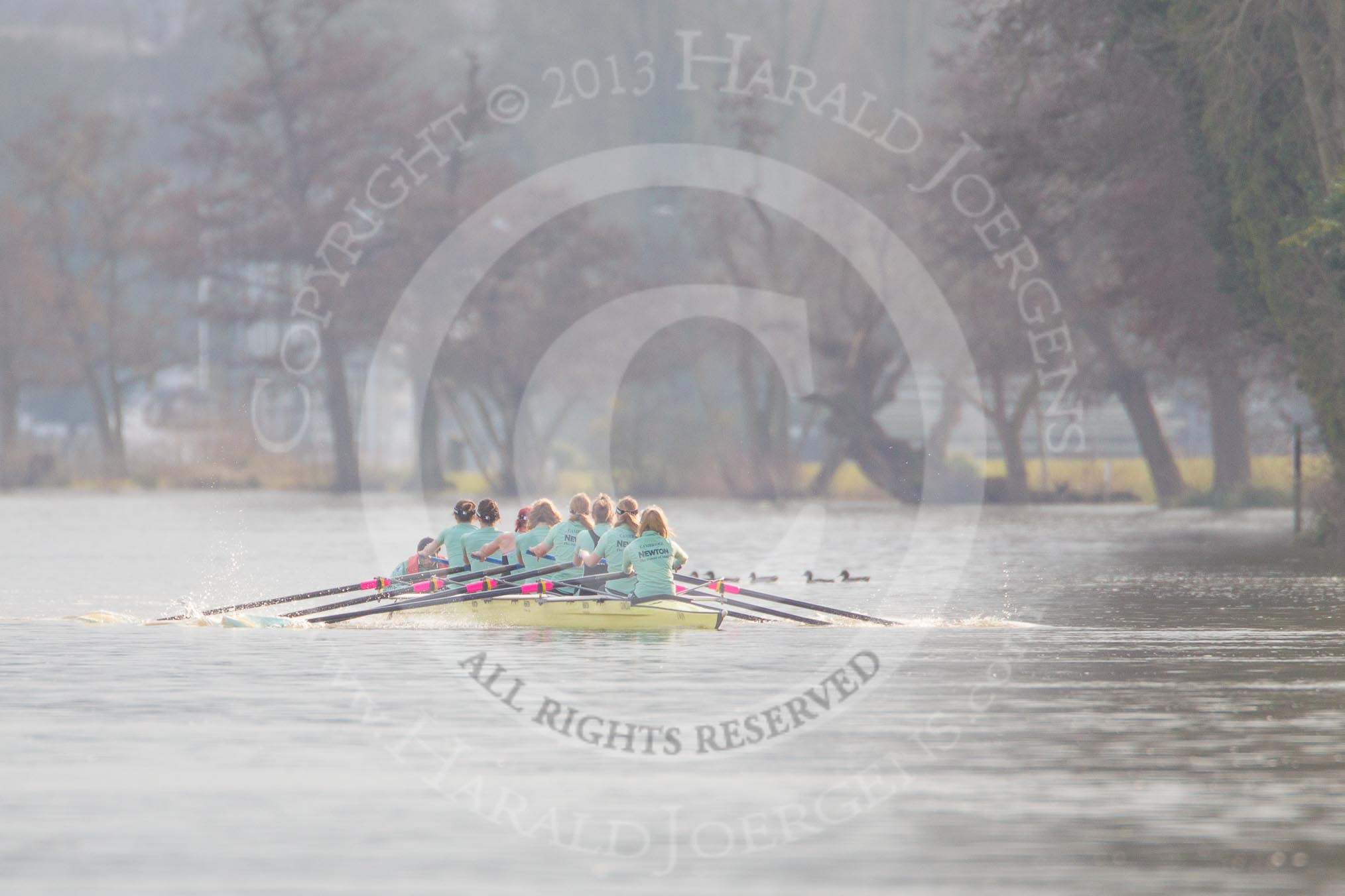 The Boat Race season 2013 - CUWBC training: The CUWBC reserve boat Blondie coming from Henley for their second training loop..
River Thames near Remenham,
Henley-on-Thames,
Oxfordshire,
United Kingdom,
on 19 March 2013 at 16:05, image #107