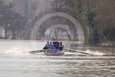 The Boat Race season 2013 - CUWBC training: The OULRC boat approaching Temple Island - cox Christian Proctor, stroke Max Dillon, 7 Andrew Sayce, 6 Benjamin Walpole, 5 Jasper Warner, 4 Frederick Foster, 3 Keir Macdonald, 2 Benjamin Bronselaer and bow James Kirkbride..
River Thames near Remenham,
Henley-on-Thames,
Oxfordshire,
United Kingdom,
on 19 March 2013 at 16:01, image #91