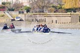 The Boat Race season 2013 -  Tideway Week (Friday) and press conferences.
River Thames,
London SW15,

United Kingdom,
on 29 March 2013 at 11:08, image #69