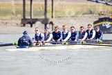 The Boat Race season 2013 -  Tideway Week (Friday) and press conferences.
River Thames,
London SW15,

United Kingdom,
on 29 March 2013 at 11:09, image #75