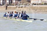 The Boat Race season 2013 -  Tideway Week (Friday) and press conferences.
River Thames,
London SW15,

United Kingdom,
on 29 March 2013 at 11:08, image #71