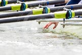 The Boat Race season 2013 -  Tideway Week (Friday) and press conferences.
River Thames,
London SW15,

United Kingdom,
on 29 March 2013 at 11:24, image #102