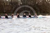 The Boat Race season 2014 - Women's Trial VIIIs(CUWBC, Cambridge): Wink Wink: 6 Fiona Macklin, 5 Caroline Reid, 4 Sara Lackner, 3 Hannah Roberts, 2 Sarah Crowther, Bow Ella Barnard..
River Thames between Putney Bridge and Mortlake,
London SW15,

United Kingdom,
on 19 December 2013 at 14:14, image #439