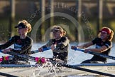 The Boat Race season 2014 - Women's Trial VIIIs(CUWBC, Cambridge): Wink Wink: 3 Hannah Roberts, 2 Sarah Crowther, Bow Ella Barnard..
River Thames between Putney Bridge and Mortlake,
London SW15,

United Kingdom,
on 19 December 2013 at 14:18, image #474