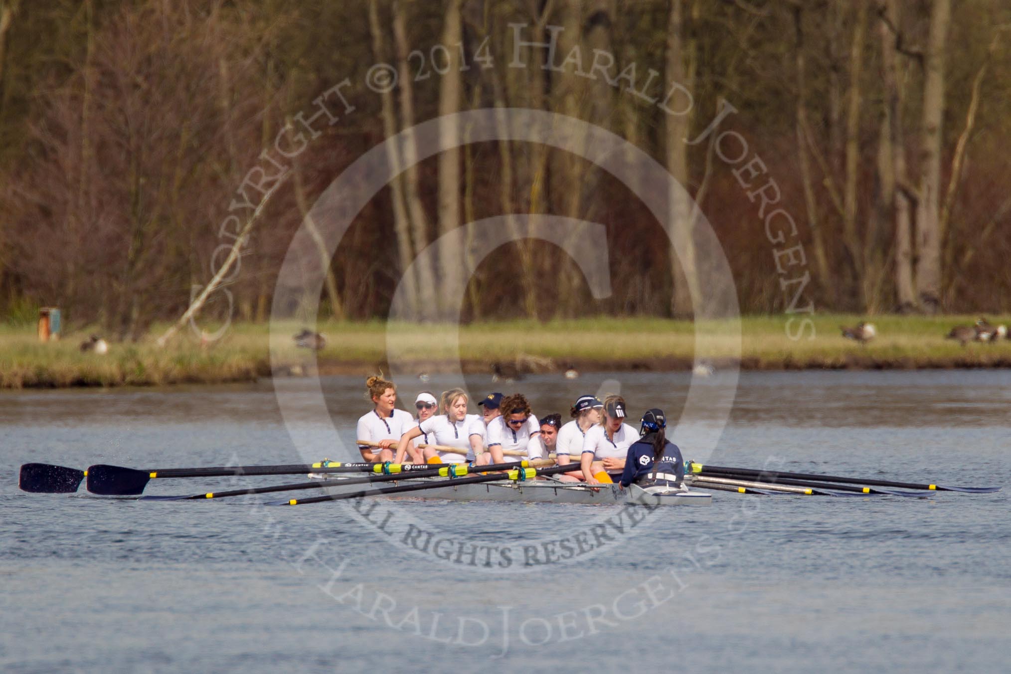 The Women's Boat Race and Henley Boat Races 2014: The Intercollegiate women's race. The Trinity College (Cambridge) boat after passing the finish line..
River Thames,
Henley-on-Thames,
Buckinghamshire,
United Kingdom,
on 30 March 2014 at 13:29, image #50