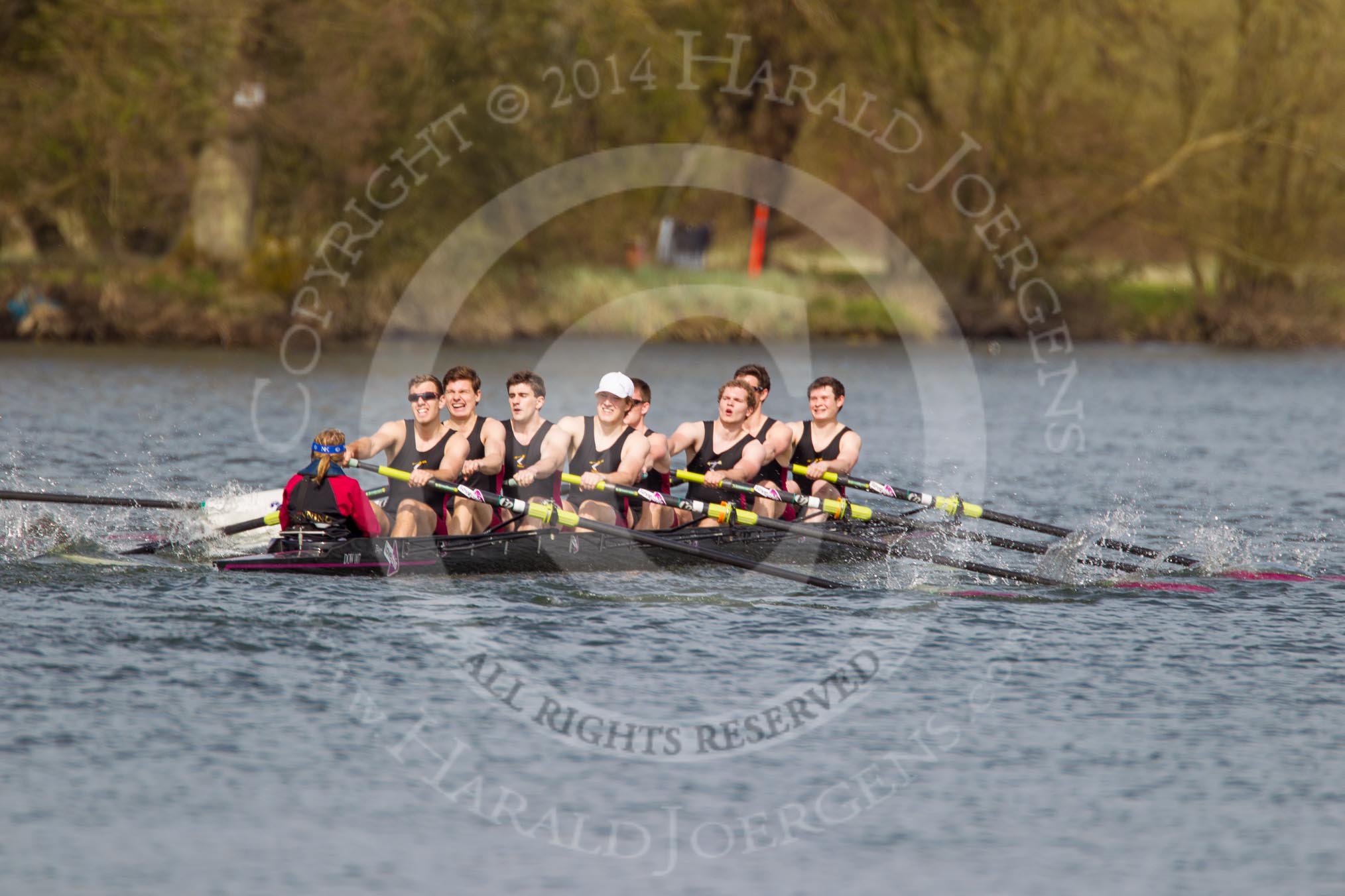 The Women's Boat Race and Henley Boat Races 2014: The Intercollegiate men's race. Downing College (Cambridge) approaching the finish line..
River Thames,
Henley-on-Thames,
Buckinghamshire,
United Kingdom,
on 30 March 2014 at 13:52, image #110