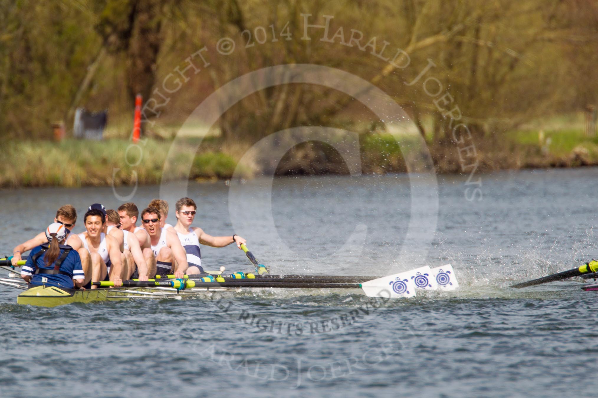 The Women's Boat Race and Henley Boat Races 2014: The Intercollegiate men's race. Downing College (Cambridge, on the right) and Oriel College (Oxford) getting too close, Oriel bow Callum Arnold in trouble..
River Thames,
Henley-on-Thames,
Buckinghamshire,
United Kingdom,
on 30 March 2014 at 13:52, image #114