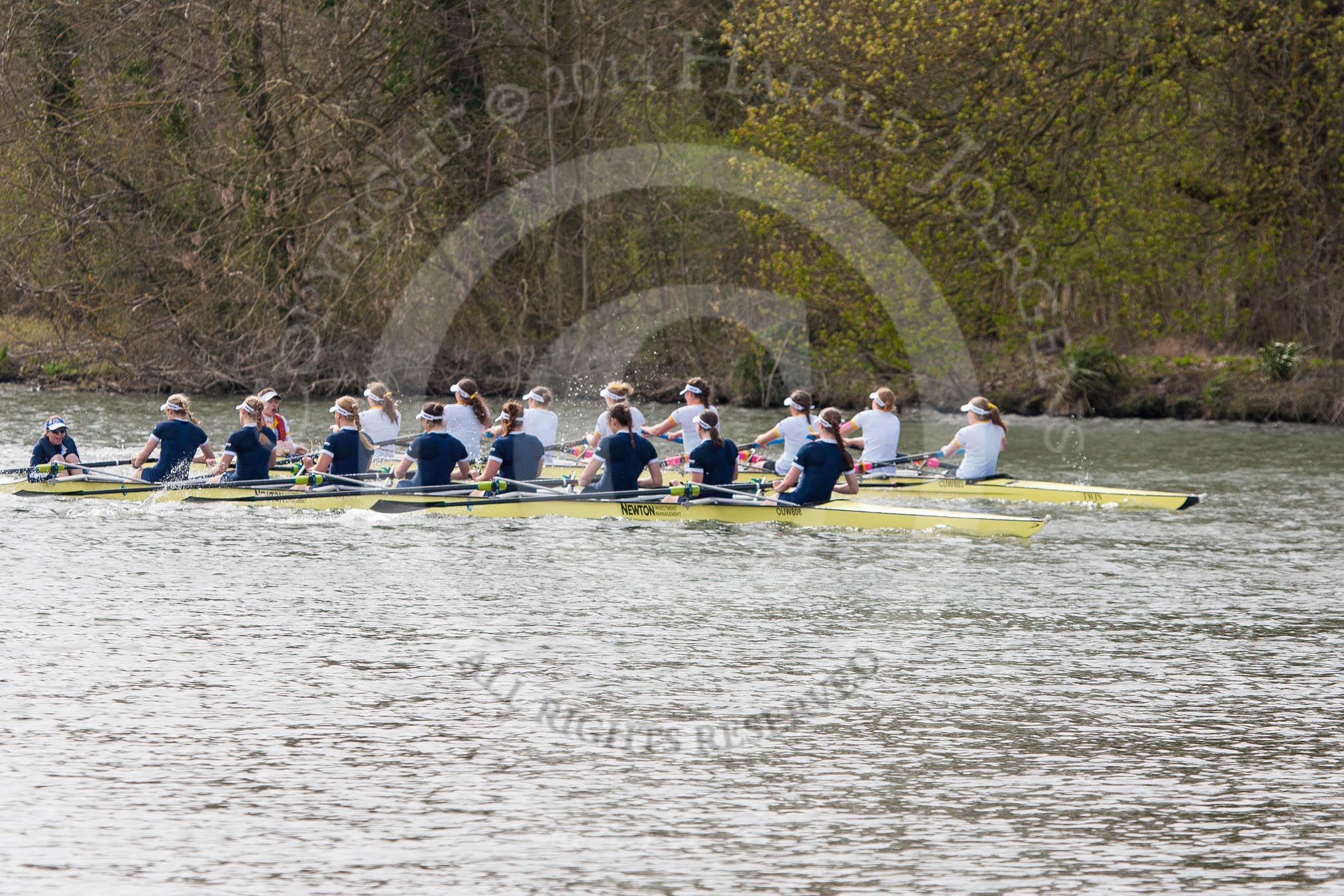 The Women's Boat Race and Henley Boat Races 2014: The Women's Reserves - Osiris v. Blondie race. Osiris (Oxford) on the left,  and Blondie (Cambridge) are quite close together again..
River Thames,
Henley-on-Thames,
Buckinghamshire,
United Kingdom,
on 30 March 2014 at 14:16, image #156