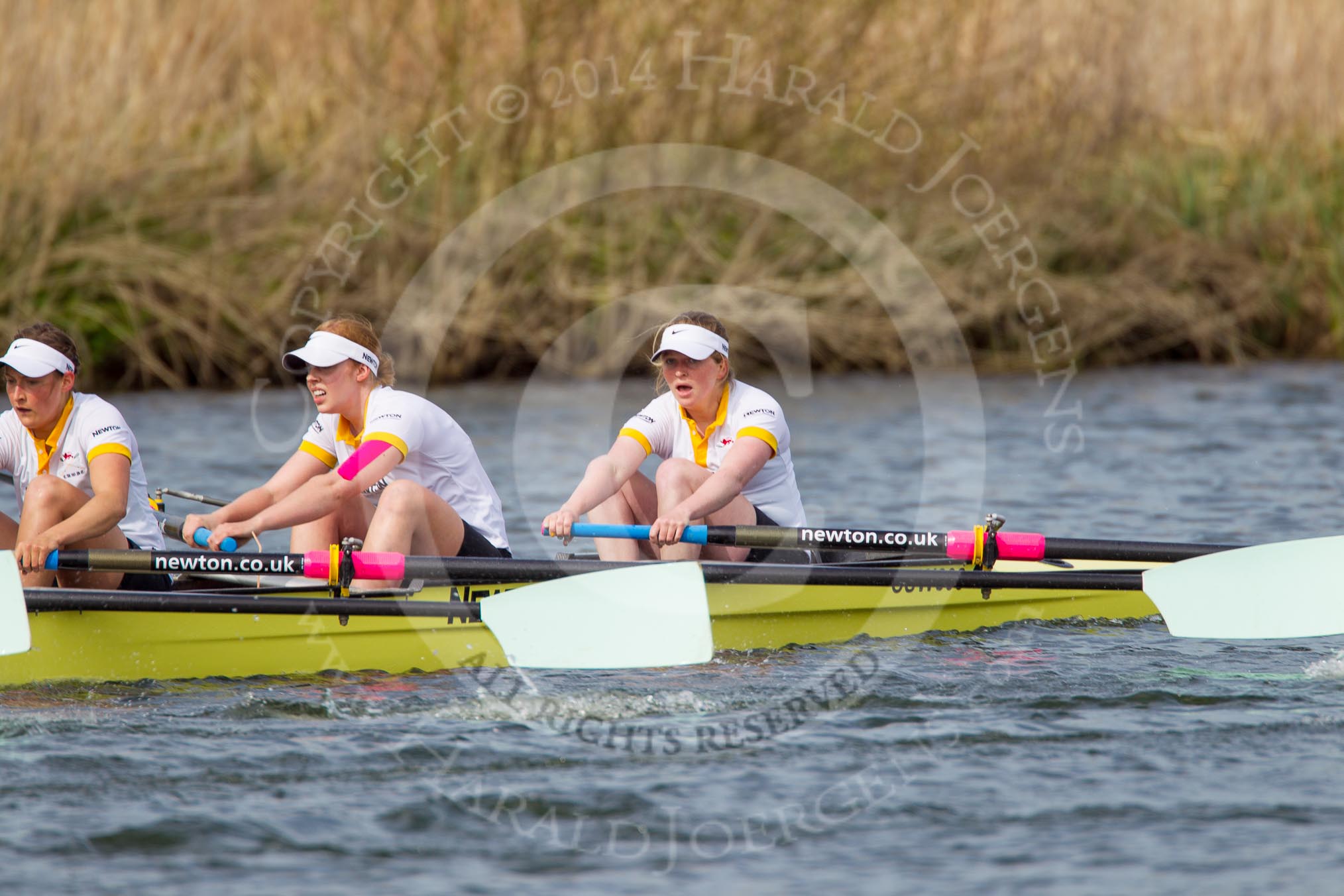 The Women's Boat Race and Henley Boat Races 2014: The Women's Reserves - Osiris v. Blondie race. In Blondie (Cambridge) 3 seat Anouska Bartlett, 2 Sara Lackner, bow Tamsin Samuels..
River Thames,
Henley-on-Thames,
Buckinghamshire,
United Kingdom,
on 30 March 2014 at 14:17, image #169