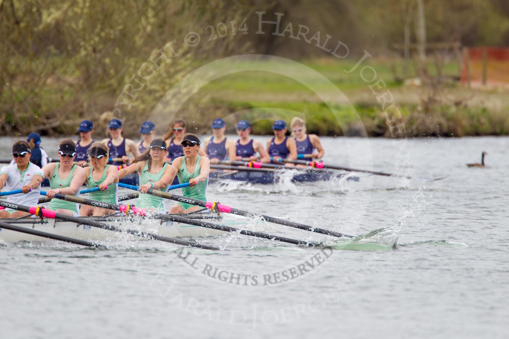 The Women's Boat Race and Henley Boat Races 2014: The Lightweight Women's Boat Race - OUWLRC are still in the lead, but the CUWBC Lightweights have reduced the distance..
River Thames,
Henley-on-Thames,
Buckinghamshire,
United Kingdom,
on 30 March 2014 at 14:49, image #243