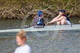 The Women's Boat Race and Henley Boat Races 2014: The Intercollegiate women's race. The Wadham College (Oxford) boat, cox Harriet-Rose Noons, stroke Hannah Lewis..
River Thames,
Henley-on-Thames,
Buckinghamshire,
United Kingdom,
on 30 March 2014 at 13:27, image #23