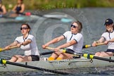 The Women's Boat Race and Henley Boat Races 2014: The Intercollegiate women's race. The Trinity College (Cambridge) boat, 6 seat Daisy Gomersall, 5 Blanka Kesek, 4 Danielle Broadfoot..
River Thames,
Henley-on-Thames,
Buckinghamshire,
United Kingdom,
on 30 March 2014 at 13:27, image #29