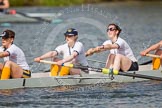 The Women's Boat Race and Henley Boat Races 2014: The Intercollegiate women's race. The Trinity College (Cambridge) boat, stroke Kate Bruce-Lockhart, 7 Julia Attwood, 6 Daisy Gomersall..
River Thames,
Henley-on-Thames,
Buckinghamshire,
United Kingdom,
on 30 March 2014 at 13:27, image #30