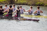 The Women's Boat Race and Henley Boat Races 2014: The Intercollegiate men's race. Oriel College (Oxford) and Downing College (Cambridge, on the left) are still close together..
River Thames,
Henley-on-Thames,
Buckinghamshire,
United Kingdom,
on 30 March 2014 at 13:51, image #91