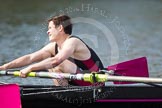 The Women's Boat Race and Henley Boat Races 2014: The Intercollegiate men's race. In the Downing College (Cambridge) boat at bow Ryan Mcpherson..
River Thames,
Henley-on-Thames,
Buckinghamshire,
United Kingdom,
on 30 March 2014 at 13:52, image #94