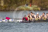 Photo 1403301353031D44779HaraldJoergens The Women's Boat Race and Henley Boat Races 2014: The Intercollegiate men's race. Downing College (Cambridge) and Oriel College (Oxford, on the left) getting close again..
River Thames,
Henley-on-Thames,
Buckinghamshire,
United Kingdom,
on 30 March 2014 at 13:52, image #111