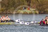 Photo 1403301353051D44783HaraldJoergens The Women's Boat Race and Henley Boat Races 2014: The Intercollegiate men's race. Downing College (Cambridge, on the right) and Oriel College (Oxford) getting close again..
River Thames,
Henley-on-Thames,
Buckinghamshire,
United Kingdom,
on 30 March 2014 at 13:52, image #113