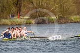 Photo 1403301353081D44787HaraldJoergens The Women's Boat Race and Henley Boat Races 2014: The Intercollegiate men's race. Downing College (Cambridge, on the right) and Oriel College (Oxford) getting too close, Oriel bow Callum Arnold in trouble..
River Thames,
Henley-on-Thames,
Buckinghamshire,
United Kingdom,
on 30 March 2014 at 13:52, image #114