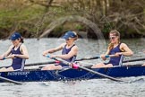 The Women's Boat Race and Henley Boat Races 2014: The OUWLRC boat in the lead - 7 seat Emma Clifton, 6 Zoe Cooper-Sutton, 5 Sophie Philbrick..
River Thames,
Henley-on-Thames,
Buckinghamshire,
United Kingdom,
on 30 March 2014 at 14:49, image #232