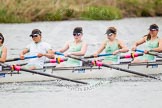 The Women's Boat Race and Henley Boat Races 2014: The CUWBC Lightweights boat with 5 Valentina Futoryanova, 4 Eve Edwards, 3 Lottie Meggit, 2 Christina Ostacchini..
River Thames,
Henley-on-Thames,
Buckinghamshire,
United Kingdom,
on 30 March 2014 at 14:49, image #238