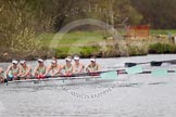 The Women's Boat Race and Henley Boat Races 2014: The Newton Women's Boat Race - Cambridge is about a length behind..
River Thames,
Henley-on-Thames,
Buckinghamshire,
United Kingdom,
on 30 March 2014 at 15:15, image #309