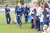 The Women's Boat Race and Henley Boat Races 2014.
River Thames,
Henley-on-Thames,
Buckinghamshire,
United Kingdom,
on 30 March 2014 at 16:52, image #475