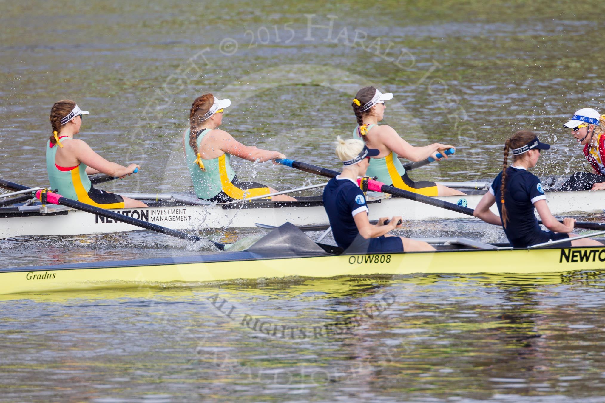 The Boat Race season 2015 - Newton Women's Boat Race.
River Thames between Putney and Mortlake,
London,

United Kingdom,
on 10 April 2015 at 16:02, image #107