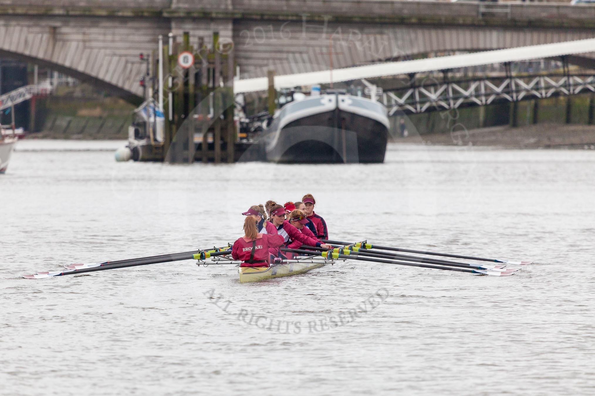 The Boat Race season 2016 - Women's Boat Race Fixture CUWBC vs OBUBC.
River Thames between Putney Bridge and Mortlake,
London SW15,

United Kingdom,
on 31 January 2016 at 15:22, image #32