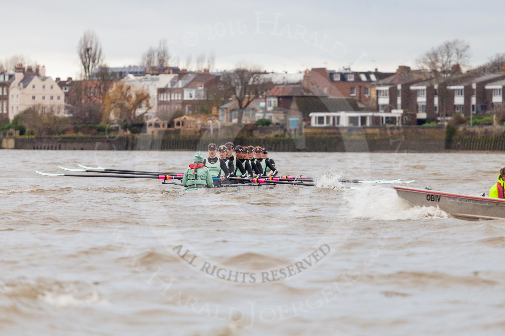 The Boat Race season 2016 - Women's Boat Race Fixture CUWBC vs OBUBC.
River Thames between Putney Bridge and Mortlake,
London SW15,

United Kingdom,
on 31 January 2016 at 16:14, image #108
