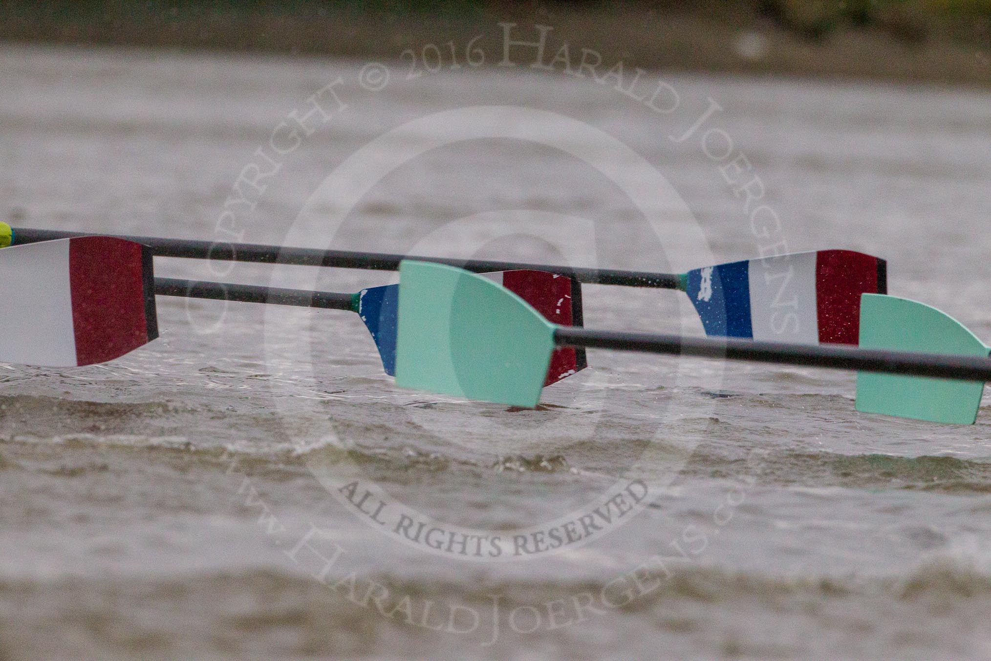 The Boat Race season 2016 - Women's Boat Race Fixture CUWBC vs OBUBC.
River Thames between Putney Bridge and Mortlake,
London SW15,

United Kingdom,
on 31 January 2016 at 16:22, image #132