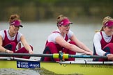 The Boat Race season 2016 - Women's Boat Race Fixture CUWBC vs OBUBC.
River Thames between Putney Bridge and Mortlake,
London SW15,

United Kingdom,
on 31 January 2016 at 16:06, image #101