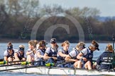 Photo 1603271404411D22402HaraldJoergens The Boat Race season 2016 -  The Cancer Research Women's Boat Race.
River Thames between Putney Bridge and Mortlake,
London SW15,
United Kingdom,
on 27 March 2016 at 14:04, image #141