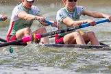 The Boat Race season 2016 -  The Cancer Research Women's Boat Race.
River Thames between Putney Bridge and Mortlake,
London SW15,

United Kingdom,
on 27 March 2016 at 14:20, image #235