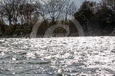 The Boat Race season 2016 -  The Cancer Research Women's Boat Race.
River Thames between Putney Bridge and Mortlake,
London SW15,

United Kingdom,
on 27 March 2016 at 14:25, image #288