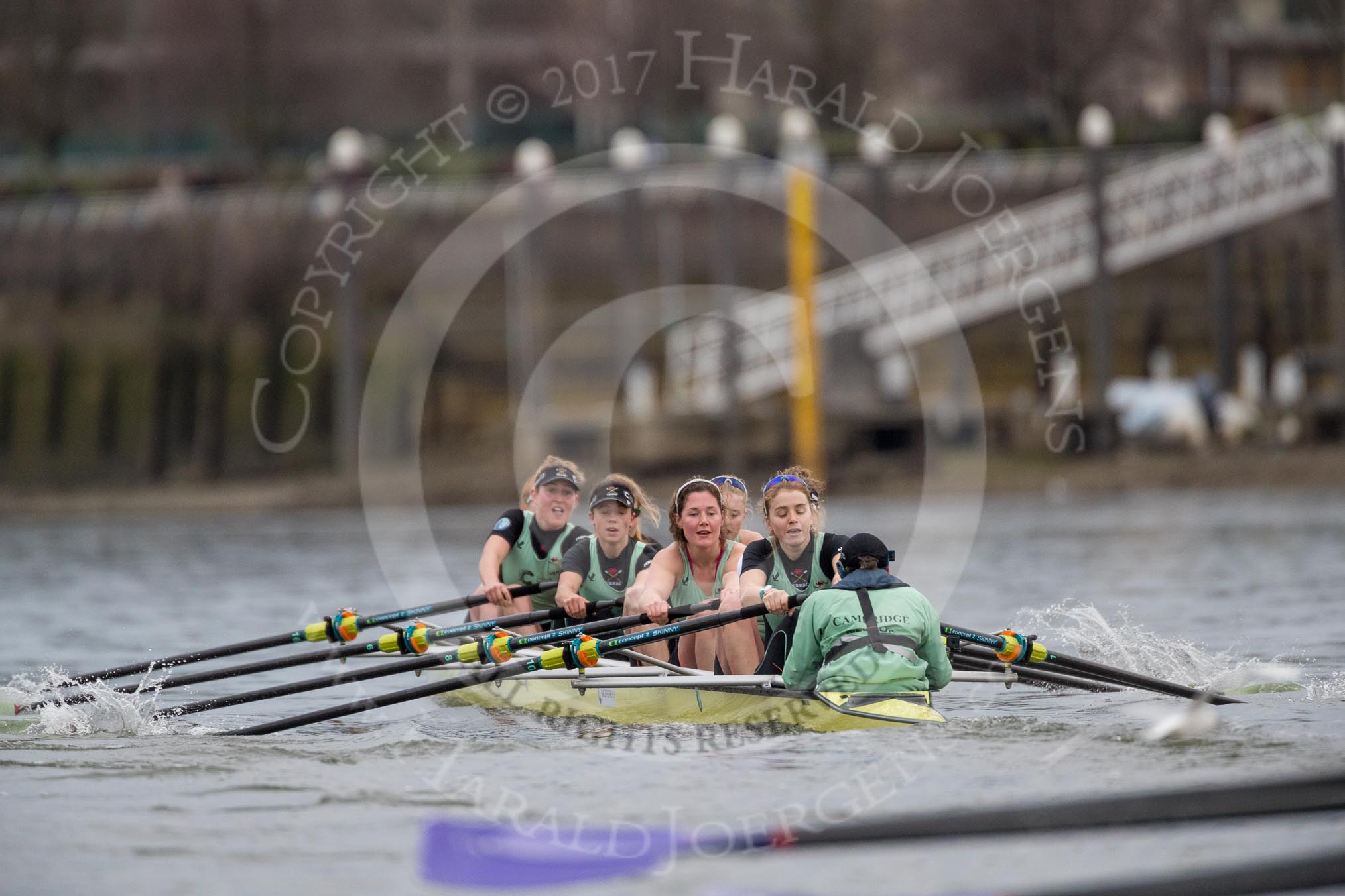The Boat Race season 2017 - Women's Boat Race Fixture CUWBC vs Univerity of London: CUWBC ahead of UL BC by at least ome length between the Milepost and Hammersmith Bridge.
River Thames between Putney Bridge and Mortlake,
London SW15,

United Kingdom,
on 19 February 2017 at 16:07, image #92