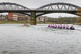 The Boat Race season 2017 - Women's Boat Race Fixture CUWBC vs Univerity of London: CUWBC is leading by over a length on the approach to Barnes Bridge during the 2nd piece of the fixture.
River Thames between Putney Bridge and Mortlake,
London SW15,

United Kingdom,
on 19 February 2017 at 16:24, image #128