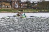 The Boat Race season 2017 - Women's Boat Race Fixture CUWBC vs Univerity of London: The CUWBC eight, leading by well over a length after Barnes Bridge during the 2nd piece of the fixture.
River Thames between Putney Bridge and Mortlake,
London SW15,

United Kingdom,
on 19 February 2017 at 16:24, image #130