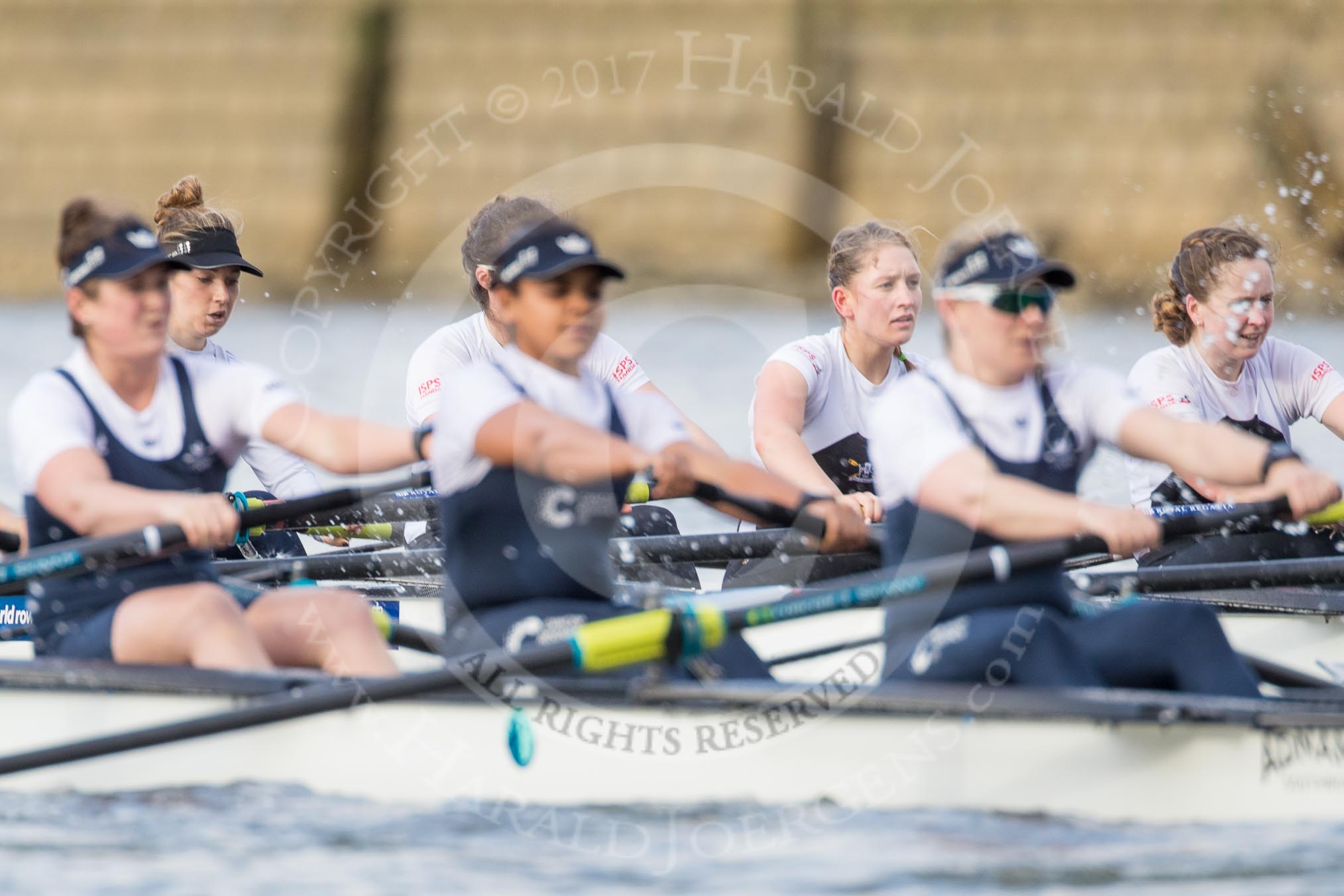 The Cancer Research UK Boat Race season 2017 - Women's Boat Race Fixture OUWBC vs Molesey BC: OUWBC with a lead of around half a length in the milepost area.
River Thames between Putney Bridge and Mortlake,
London SW15,

United Kingdom,
on 19 March 2017 at 16:03, image #68