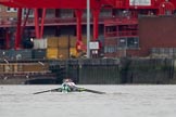 The Boat Race season 2018 - Women's Boat Race Trial Eights (CUWBC, Cambridge): Expecto Patronum near the Western Riverside Waste Authority.
River Thames between Putney Bridge and Mortlake,
London SW15,

United Kingdom,
on 05 December 2017 at 12:25, image #30