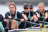 The Boat Race season 2018 - Women's Boat Race Trial Eights (CUWBC, Cambridge): Wingardium Leviosa , here cox-Sophie Wrixon, stroke-Imogen Grant, 7-Myriam Goudet-Boukhatmi, 6-Larkin Sayre, 5-Tricia Smith, 4-Emma Andrews, 3-Pippa Darkin.
River Thames between Putney Bridge and Mortlake,
London SW15,

United Kingdom,
on 05 December 2017 at 12:53, image #128