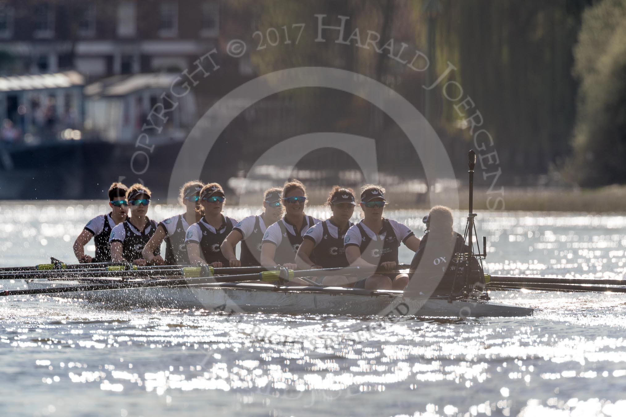 The Boat Race season 2017 -  The Cancer Research Women's Boat Race: Oxford working hard to catch up with Cambridge in the afternoon sunshine.
River Thames between Putney Bridge and Mortlake,
London SW15,

United Kingdom,
on 02 April 2017 at 16:45, image #168