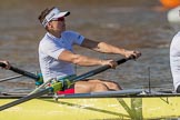 The Boat Race season 2017 -  The Cancer Research Women's Boat Race: CUWBC about to reach the start of the Women's Boat Race, here 4 seat Anna Dawson.
River Thames between Putney Bridge and Mortlake,
London SW15,

United Kingdom,
on 02 April 2017 at 16:25, image #107