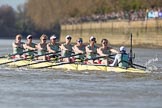The Boat Race season 2017 -  The Cancer Research Women's Boat Race: The CUWBC Blue Boat at the start of the Women's Boat Race - bow Ashton Brown, 2 Imogen Grant, 3 Claire Lambe, 4 Anna Dawson, 5 Holly Hill, 6 Alice White, 7 Myriam Goudet, stroke Melissa Wilson, cox Matthew Holland.
River Thames between Putney Bridge and Mortlake,
London SW15,

United Kingdom,
on 02 April 2017 at 16:35, image #122