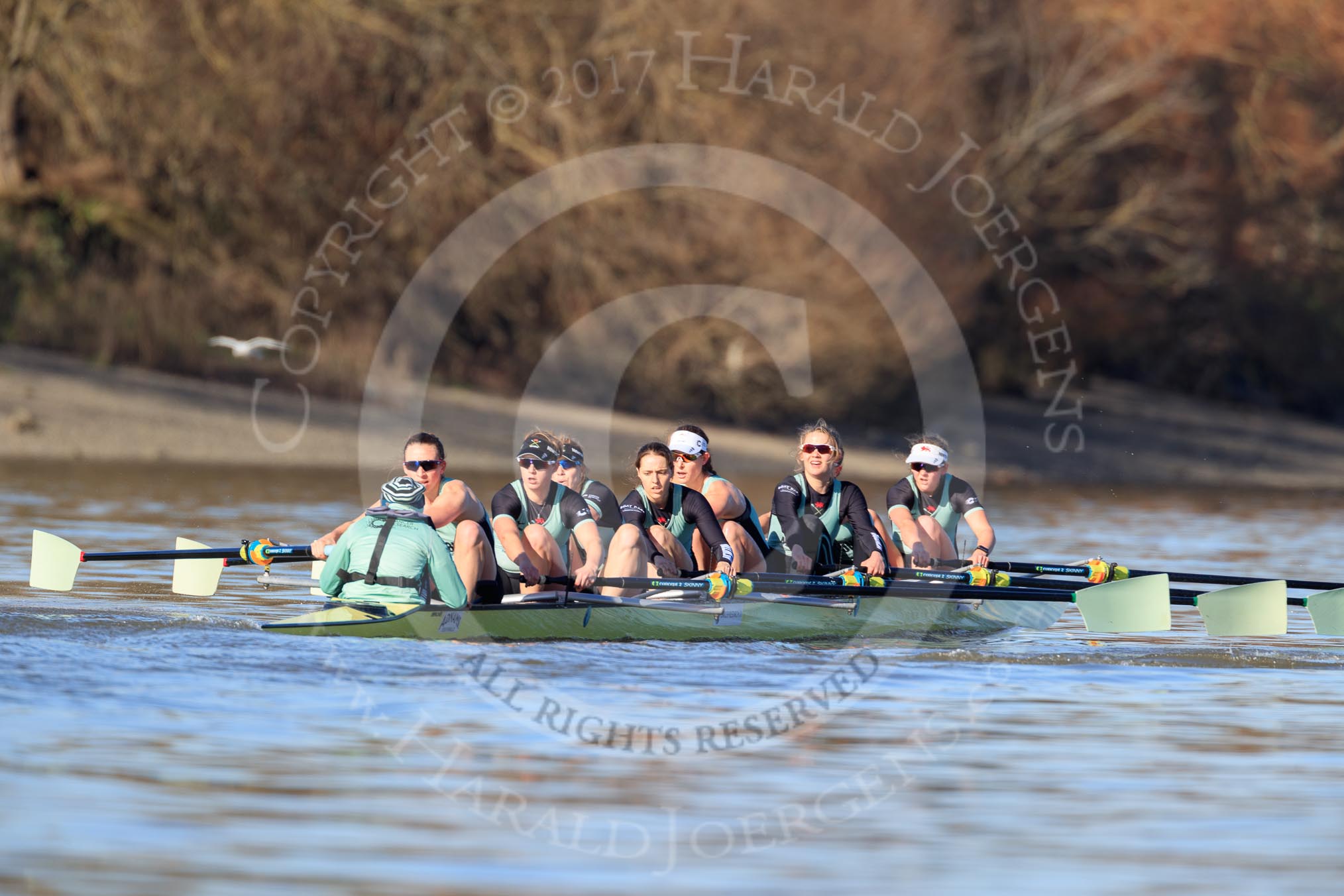 The Women's Boat Race season 2018 - fixture CUWBC vs. ULBC: The CUWBC Eight in the lead near the Mile Post - cox Sophie Shapter, stroke Tricia Smith, 7 Imogen Grant, 6 Anne Beenken, 5 Thea Zabell, 4 Paula Wesselmann, 3 Alice White, 2 Myriam Goudet-Boukhatmi, bow Olivia Coffey.
River Thames between Putney Bridge and Mortlake,
London SW15,

United Kingdom,
on 17 February 2018 at 13:13, image #75