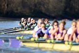 The Women's Boat Race season 2018 - fixture CUWBC vs. ULBC: ULBC and CUWBC - here, in the Cambridge  boat, bow Olivia Coffey, 2 Myriam Goudet-Boukhatmi, 3 Alice White, 4 Paula Wesselmann, 5 Thea Zabell, 6 Anne Beenken, 7 Imogen Grant, stroke Tricia Smith, cox Sophie Shapter.
River Thames between Putney Bridge and Mortlake,
London SW15,

United Kingdom,
on 17 February 2018 at 13:35, image #168