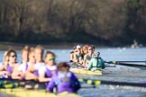 The Women's Boat Race season 2018 - fixture CUWBC vs. ULBC: ULBC and CUWBC - here, in the Cambridge  boat, just having crossed the finish line, bow Olivia Coffey, 2 Myriam Goudet-Boukhatmi, 3 Alice White, 4 Paula Wesselmann, 5 Thea Zabell, 6 Anne Beenken, 7 Imogen Grant, stroke Tricia Smith, cox Sophie Shapter.
River Thames between Putney Bridge and Mortlake,
London SW15,

United Kingdom,
on 17 February 2018 at 13:35, image #169