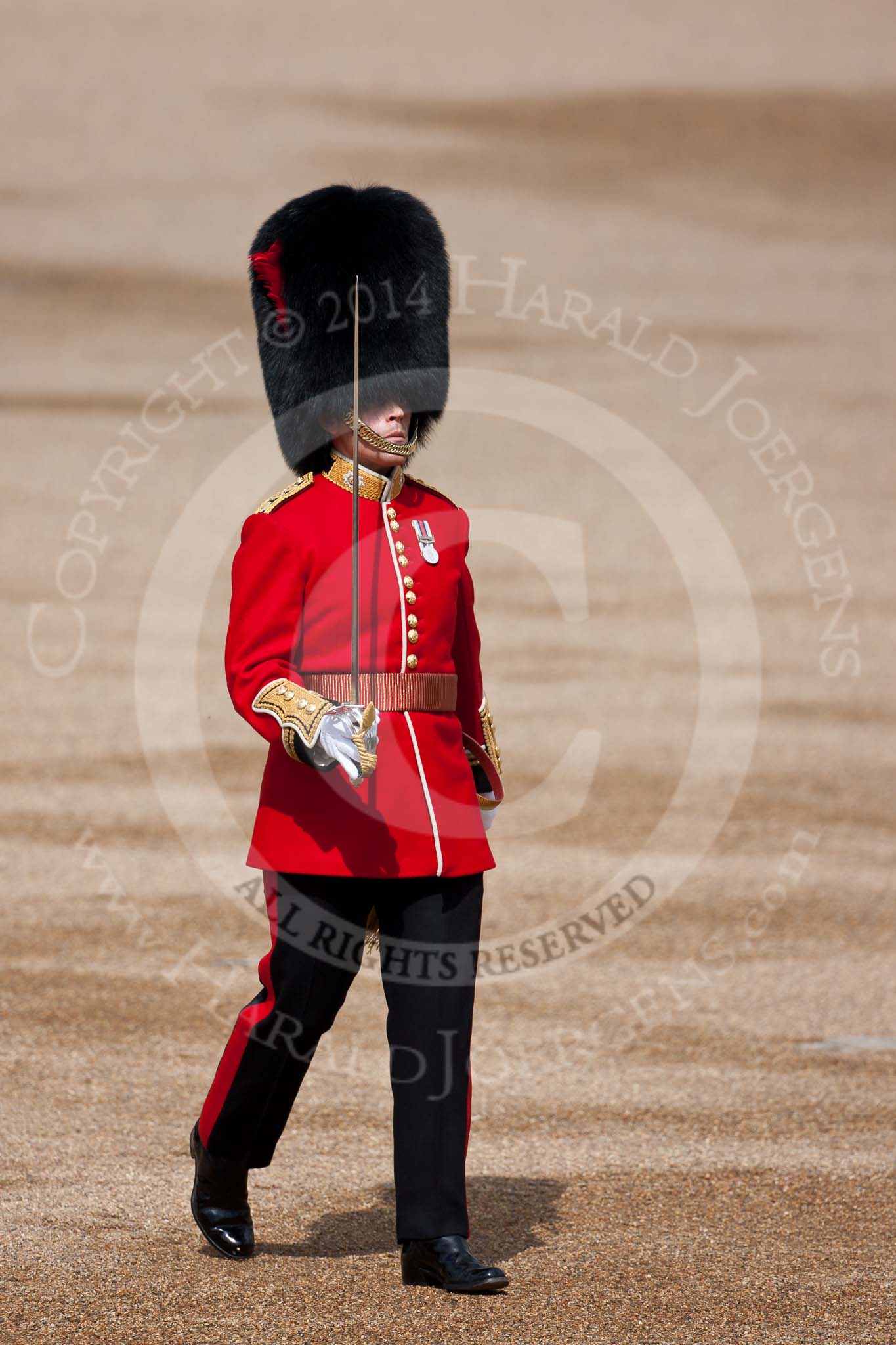 Trooping the Colour 2009: Captain of the Coldstream Guards..
Horse Guards Parade, Westminster,
London SW1,

United Kingdom,
on 13 June 2009 at 10:23, image #39